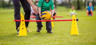 torzsi推荐的明日之星xelex何许人也？