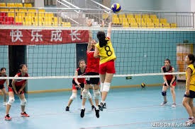 牛牛中期怎么判断（如何判断牛牛是否处于中期）