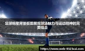 国足VS澳大利亚现场！全场球迷打开闪光灯纪念成都小球迷林子金