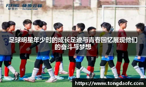 B费谈C罗被罚下：这是足球里会发生的事，他知道自己犯了错误