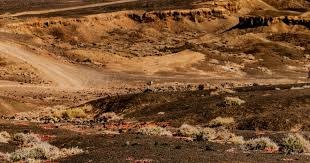 彩票代销者佣金上调至8%